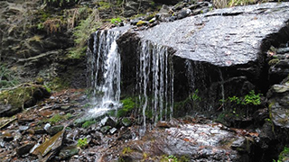 Cascada