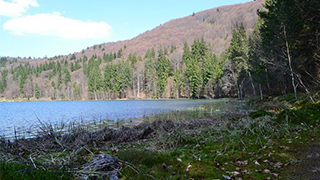 sztAnna